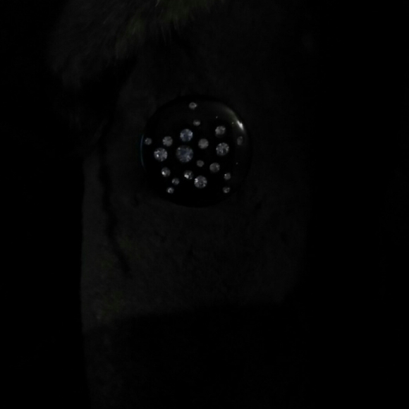 NWOT Fun Faux Fur Hooded Coat and warm! - Picture 3 of 5